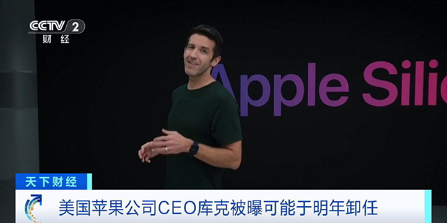 美国苹果公司CEO库克被曝可能于明年卸任(组图) - 2