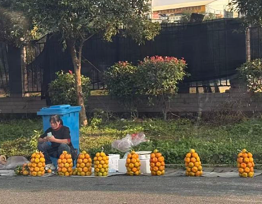 【爆笑】LV 14万的狗盆原来长这样?网友夺笋:这十几万要实在没地方花你给我!(组图) - 15
