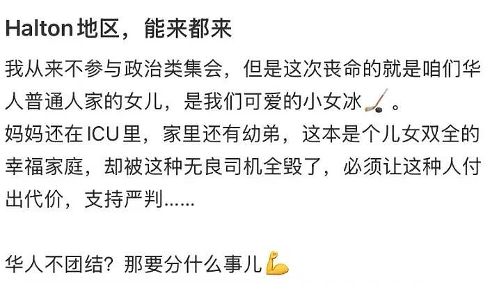 震怒!印度裔司机疑分心冲上人行道撞死8岁华人女孩,华人号召集体出席庭审(组图) - 8