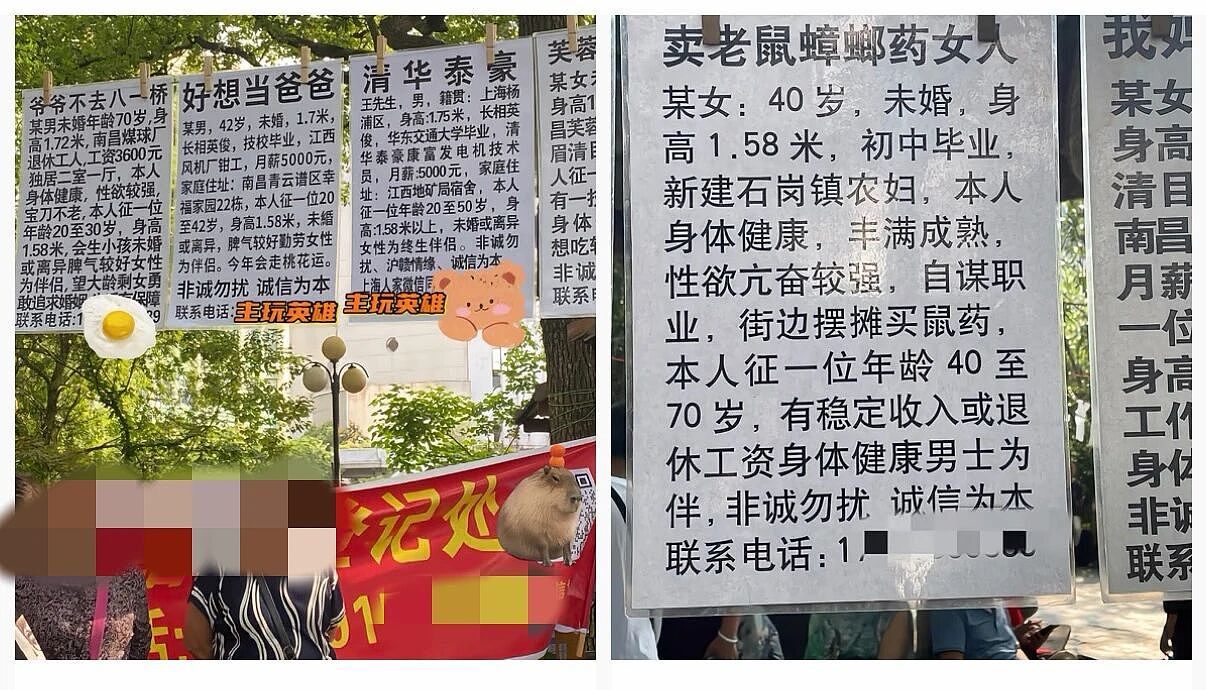 越被大爷大妈“鄙视”越兴奋，网红为啥都要去相亲角挨骂（组图） - 11