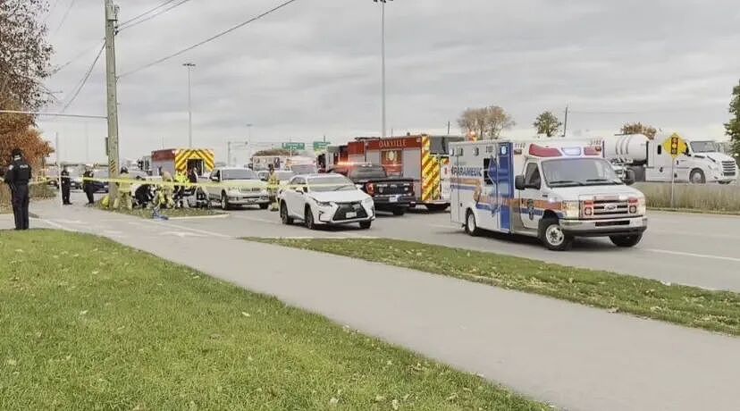 震怒!印度裔司机疑分心冲上人行道撞死8岁华人女孩,华人号召集体出席庭审(组图) - 9