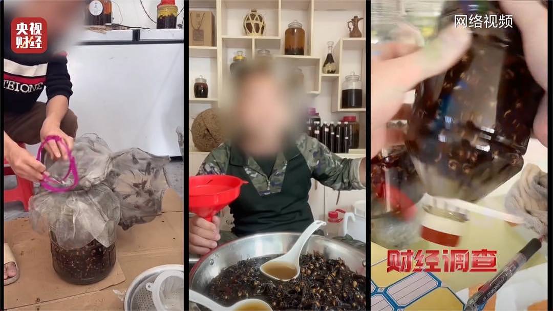 成本500元能赚5000元!“杀人蜂”遭滥养(组图) - 1