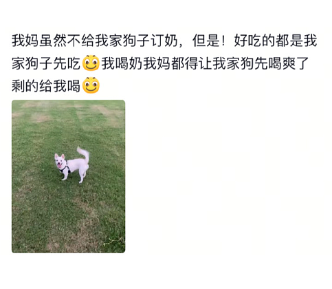 【爆笑】LV 14万的狗盆原来长这样?网友夺笋:这十几万要实在没地方花你给我!(组图) - 54