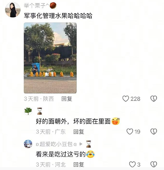 【爆笑】LV 14万的狗盆原来长这样?网友夺笋:这十几万要实在没地方花你给我!(组图) - 14