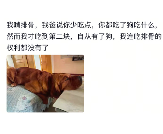 【爆笑】LV 14万的狗盆原来长这样?网友夺笋:这十几万要实在没地方花你给我!(组图) - 53