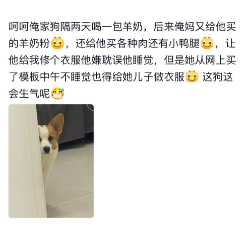 【爆笑】LV 14万的狗盆原来长这样?网友夺笋:这十几万要实在没地方花你给我!(组图) - 52