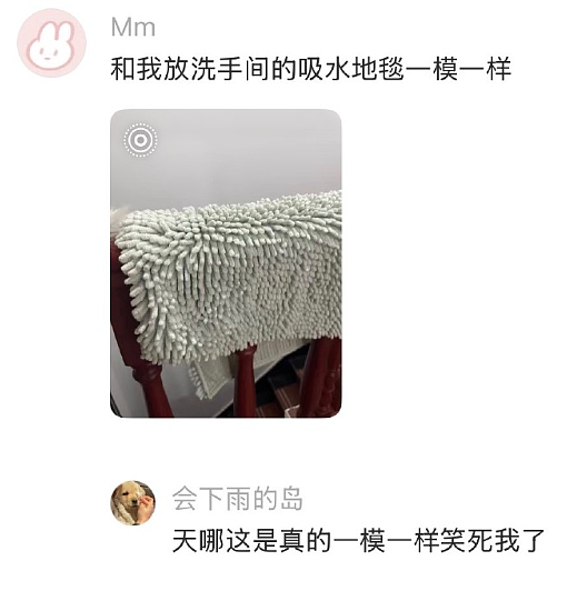 【爆笑】LV 14万的狗盆原来长这样?网友夺笋:这十几万要实在没地方花你给我!(组图) - 66