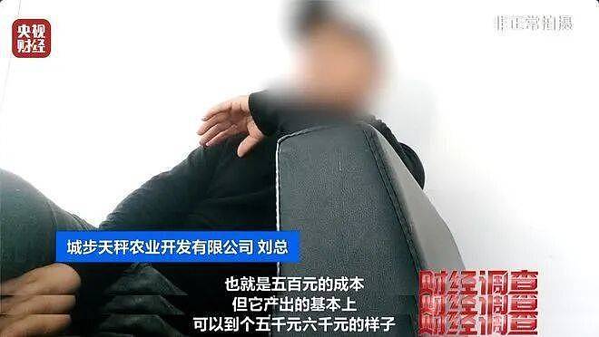 成本500元能赚5000元!“杀人蜂”遭滥养(组图) - 2