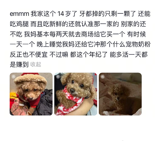 【爆笑】LV 14万的狗盆原来长这样?网友夺笋:这十几万要实在没地方花你给我!(组图) - 51