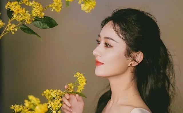 机关算尽太巧妙?离婚四年后再看赵丽颖冯绍峰,答案早已一目了然(组图) - 5