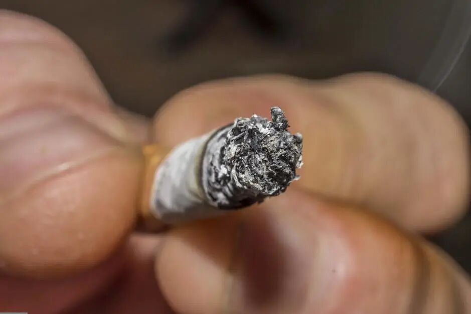 为什么有的人每天一包烟,活到90也没得肺癌?(组图) - 2