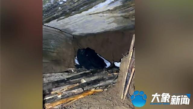 退伍特种兵参加荒野求生30天后退赛:动物吓跑没法打猎(组图) - 7
