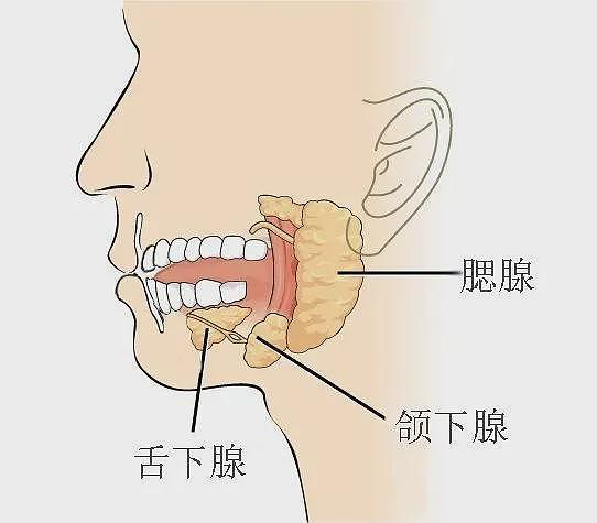 半夜总是“口干”，建议排查5种病（组图） - 2