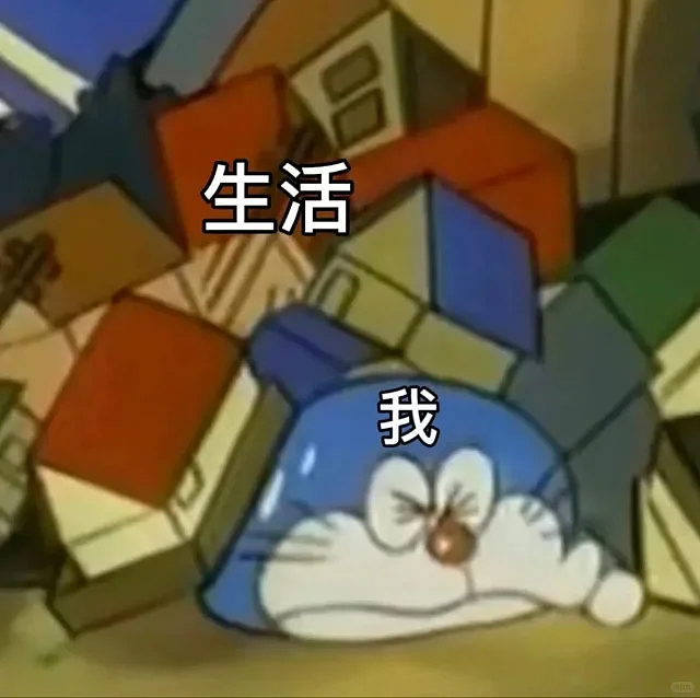 新加坡新娘遭到老公出轨家暴，不惜卖身赚钱养家...哭诉：怕长期准证被取消不敢离婚！（组图） - 4