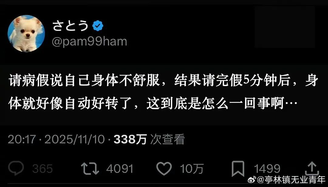 【爆笑】“和老公吵架我叫了上门跟拍...?”哈哈哈这才是真正的战地摄影师(组图) - 64