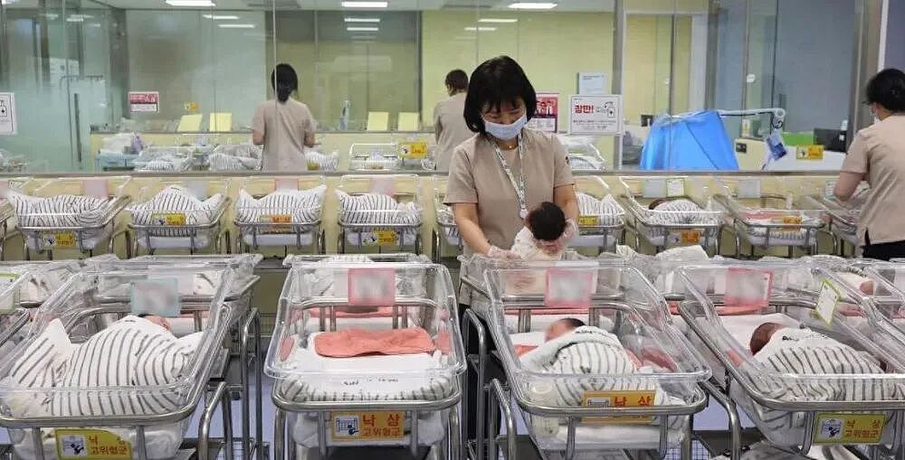 16年花了2700亿美元，韩国“造人”失败（组图） - 8