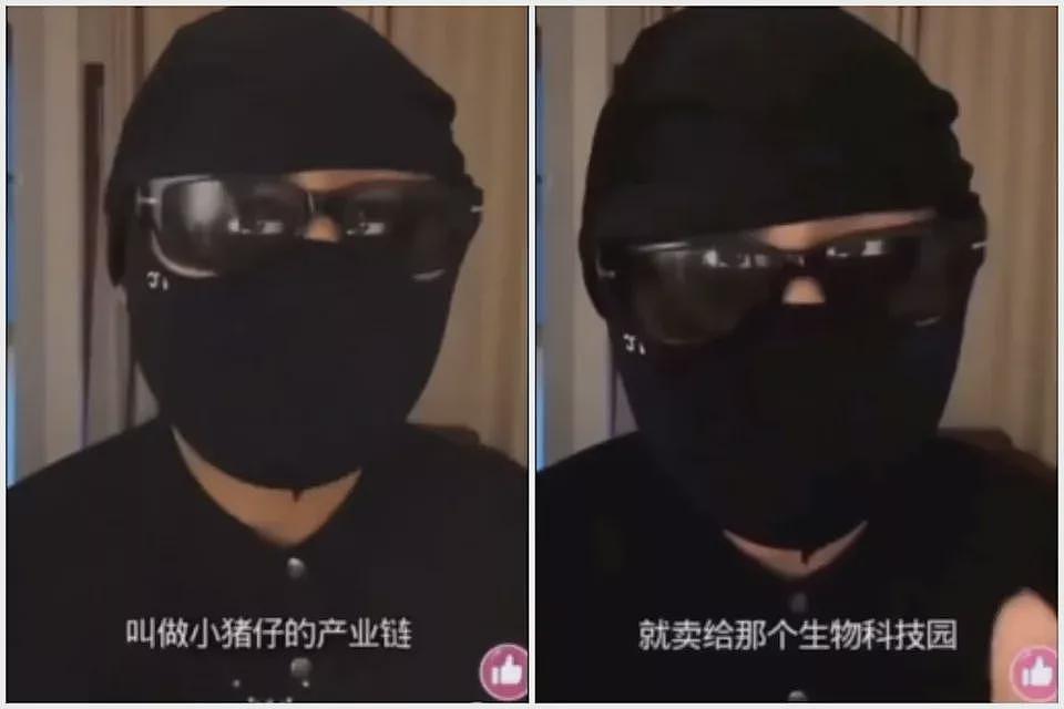 李连杰回春之谜？他惊曝柬国助富豪“从婴儿提取干细胞”，售价曝光（组图） - 4