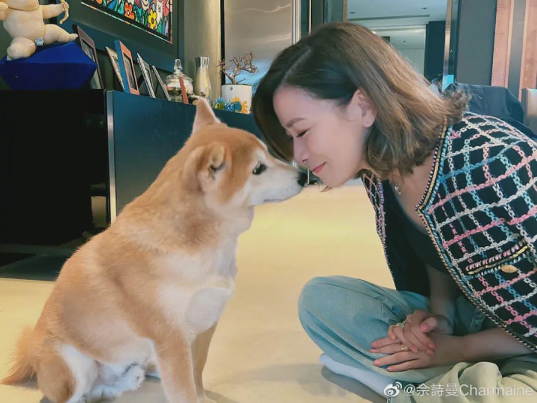 50岁佘诗曼未婚独居：没有爱情，但有很多很多钱（组图） - 29