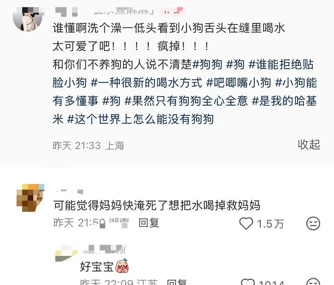 【爆笑】“和老公吵架我叫了上门跟拍...?”哈哈哈这才是真正的战地摄影师(组图) - 22