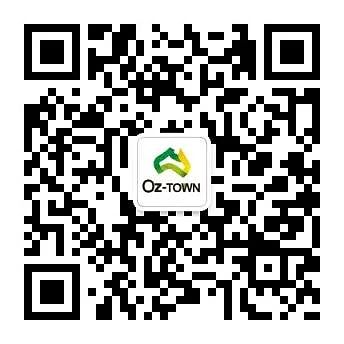 2025年第八届进口博览会澳洲制造&Oz-Town展馆回顾（组图） - 8