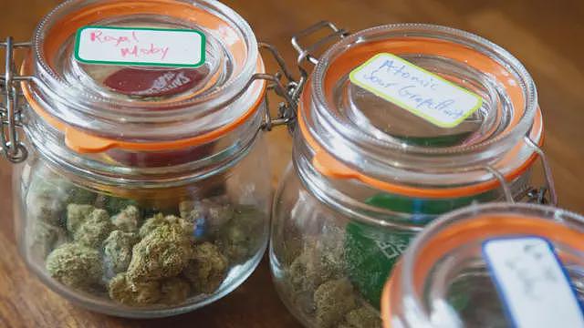 他每天使用医用大麻，担心被认为是“瘾君子”（组图） - 3