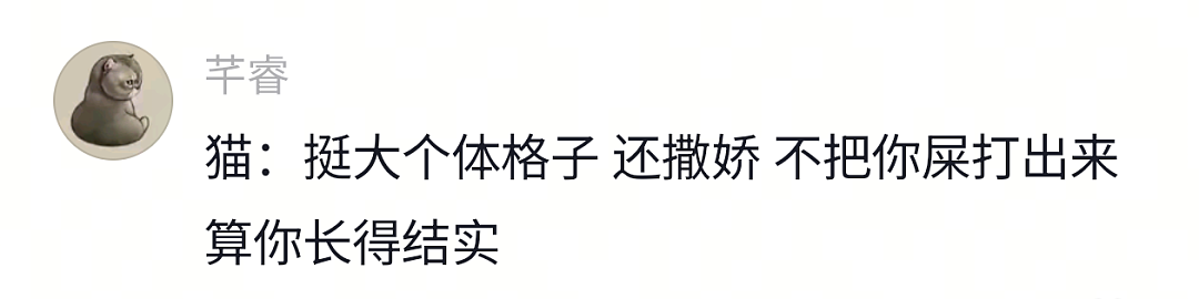 【宠物】狗子靠近猫猫的罐头被打得嗷嗷哭,怎么哄都没用,直到说再哭小猫又要打它才止住…主人:白长那么大个头(组图) - 4