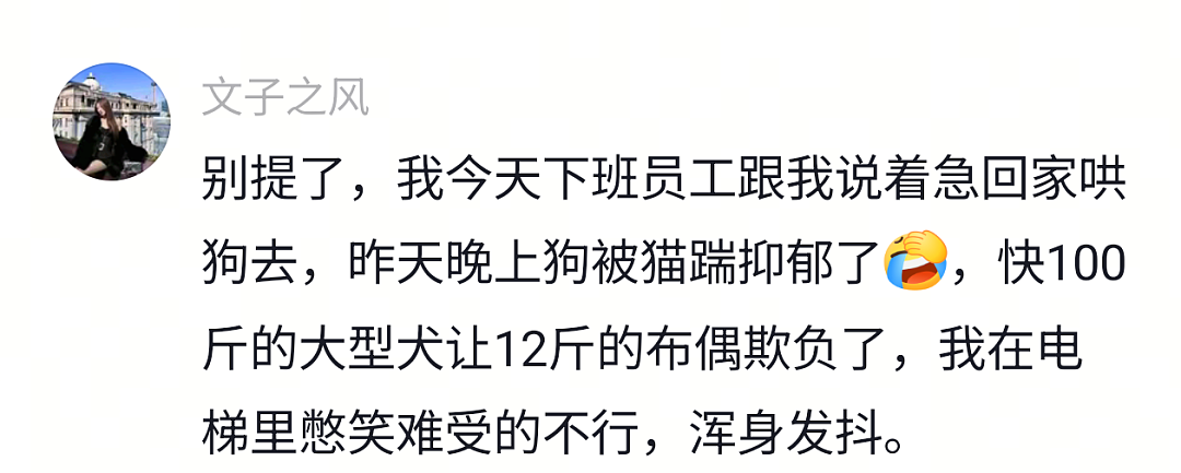 【宠物】狗子靠近猫猫的罐头被打得嗷嗷哭,怎么哄都没用,直到说再哭小猫又要打它才止住…主人:白长那么大个头(组图) - 7