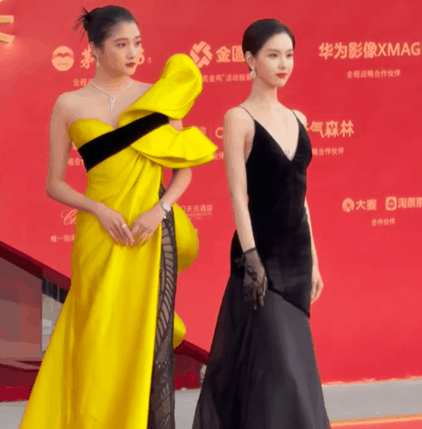 金鸡奖红毯这一夜，50岁蒋勤勤秒了内娱一堆排骨精（组图） - 6