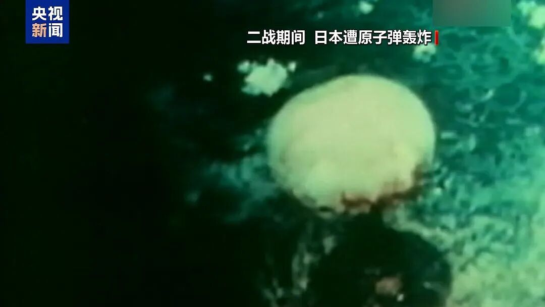 日媒：首相高市早苗的存在本身可能成为日本的存亡危机；其错误言行已招致恶果：日本旅游及消费股大跌（组图） - 5