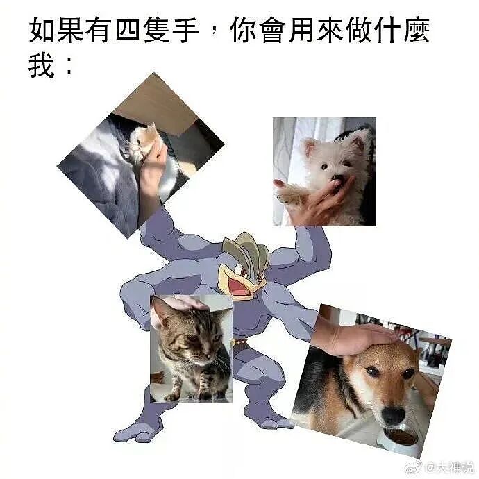 【爆笑】“和老公吵架我叫了上门跟拍...?”哈哈哈这才是真正的战地摄影师(组图) - 85