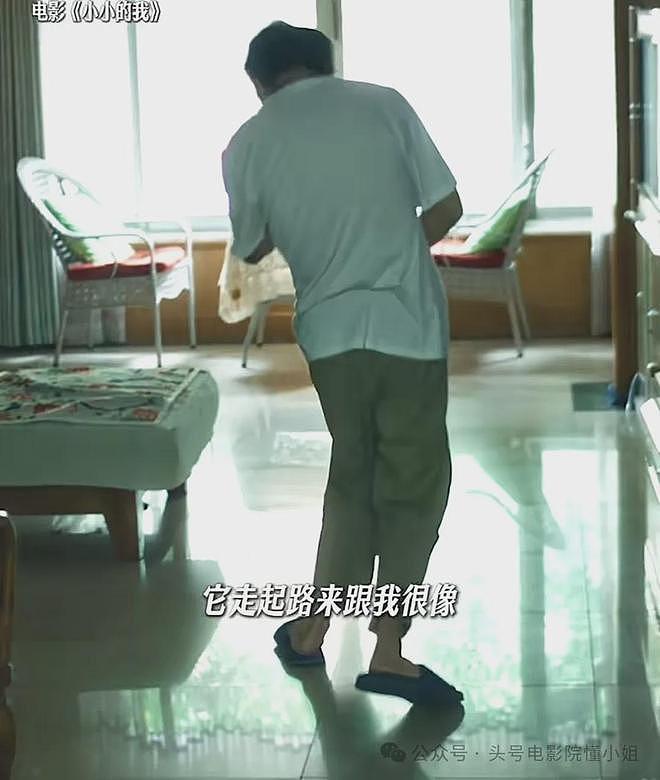 最年轻金鸡奖影帝！易烊千玺被问：想谈恋爱吗？两眼一黑，结巴了（组图） - 14