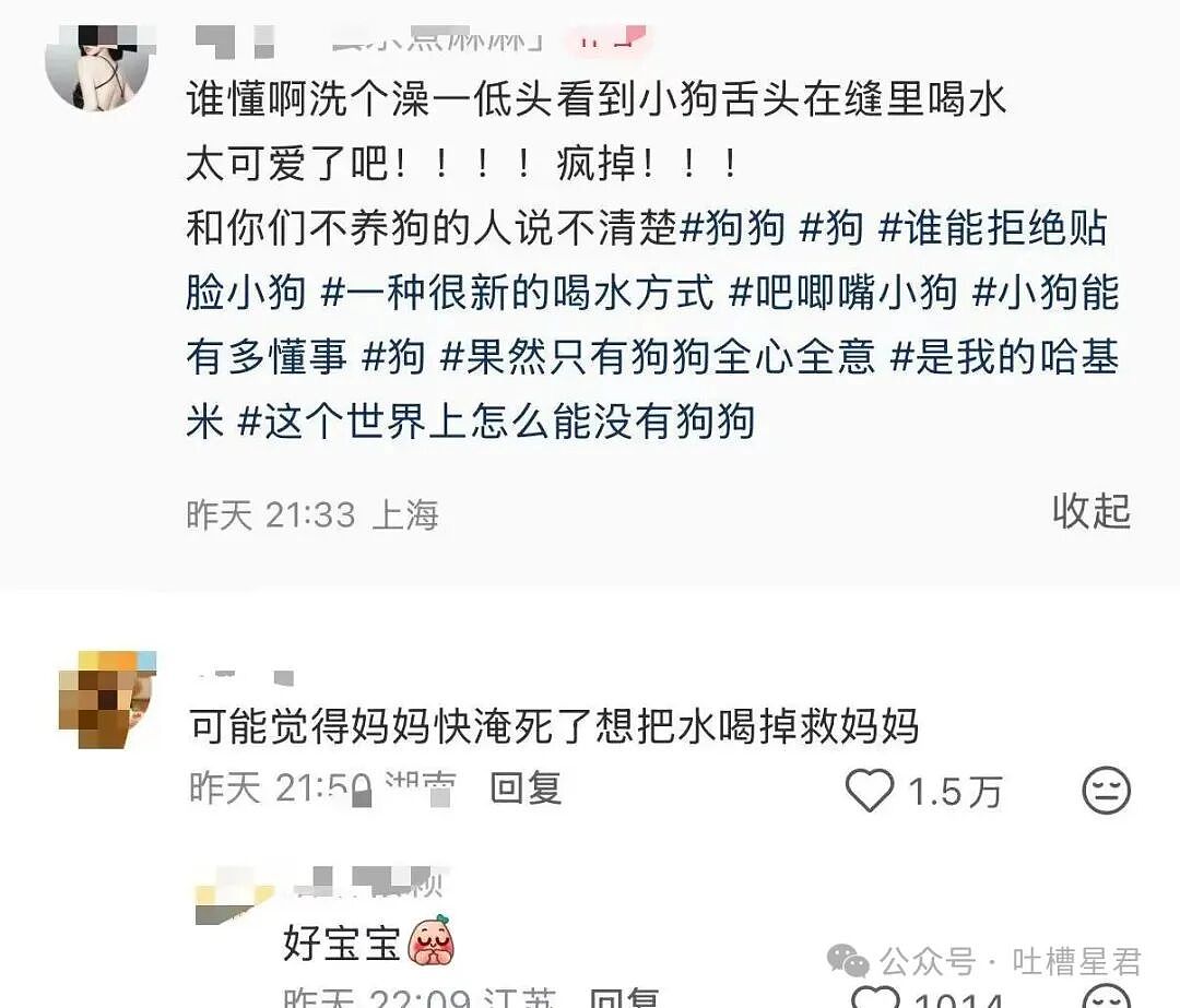 【爆笑】和老公吵架我叫了上门跟拍...？哈哈哈这才是真正的战地摄影师（组图） - 16