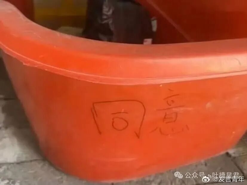 【爆笑】和老公吵架我叫了上门跟拍...？哈哈哈这才是真正的战地摄影师（组图） - 31