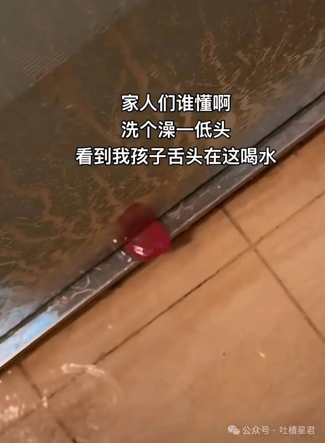 【爆笑】和老公吵架我叫了上门跟拍...？哈哈哈这才是真正的战地摄影师（组图） - 15