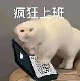 她当面把简历递给马克龙:在法国,找实习真的难到要见总统了吗?(组图) - 1