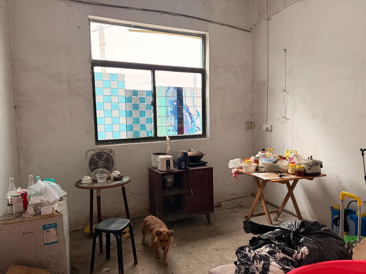 拆迁少年成谋杀主犯：一桩“弑母骗保案”的深渊（组图） - 8