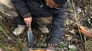 100个张家界“野人”，要断了全国减肥营的财路（组图） - 10