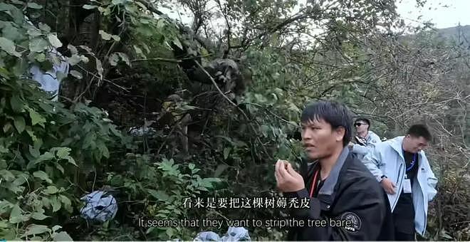 100个张家界“野人”，要断了全国减肥营的财路（组图） - 9