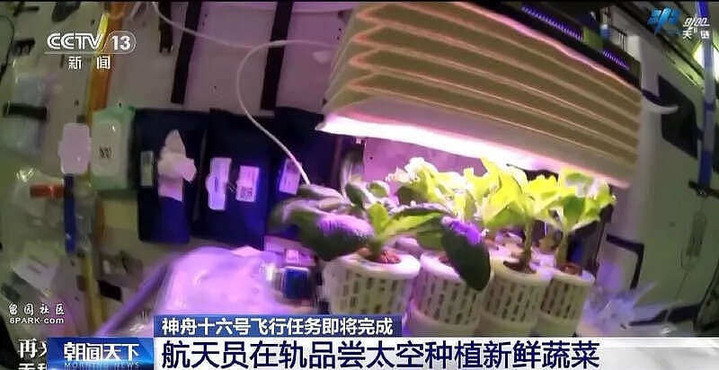 太空烤肉？大国阳谋：中国空间站上演的顶级凡尔赛（组图） - 17