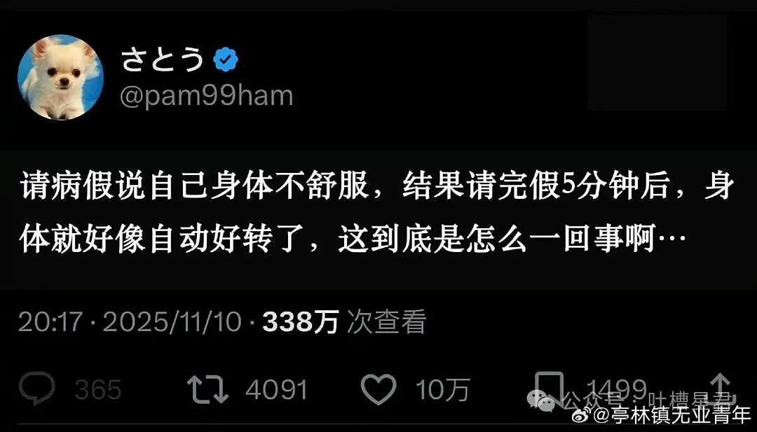 【爆笑】和老公吵架我叫了上门跟拍...？哈哈哈这才是真正的战地摄影师（组图） - 42