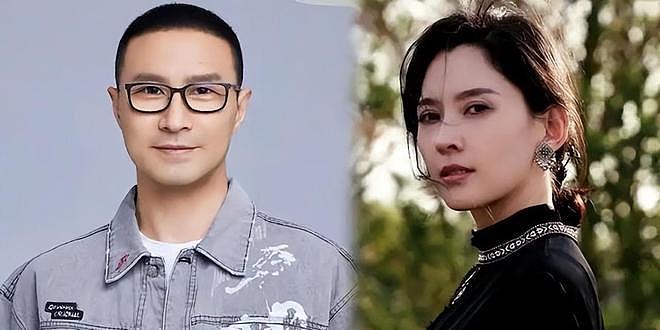 里子面子都丢了!森林北晒出体检结果,撕碎了汪峰仅剩的体面(组图) - 8
