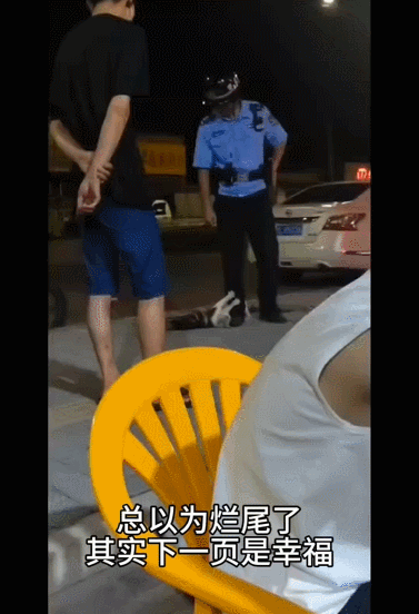 【宠物】小猫背着新书包出门玩，结果被打劫了...网友：我的笑点和道德在打架哈哈哈哈（组图） - 23