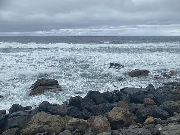 澳储行揭示进一步降息必要条件：重点关注劳动力市场与家庭消费 民调暴跌后联盟党转求削减净移民 或将之与住房、医疗和教育挂钩 - 8