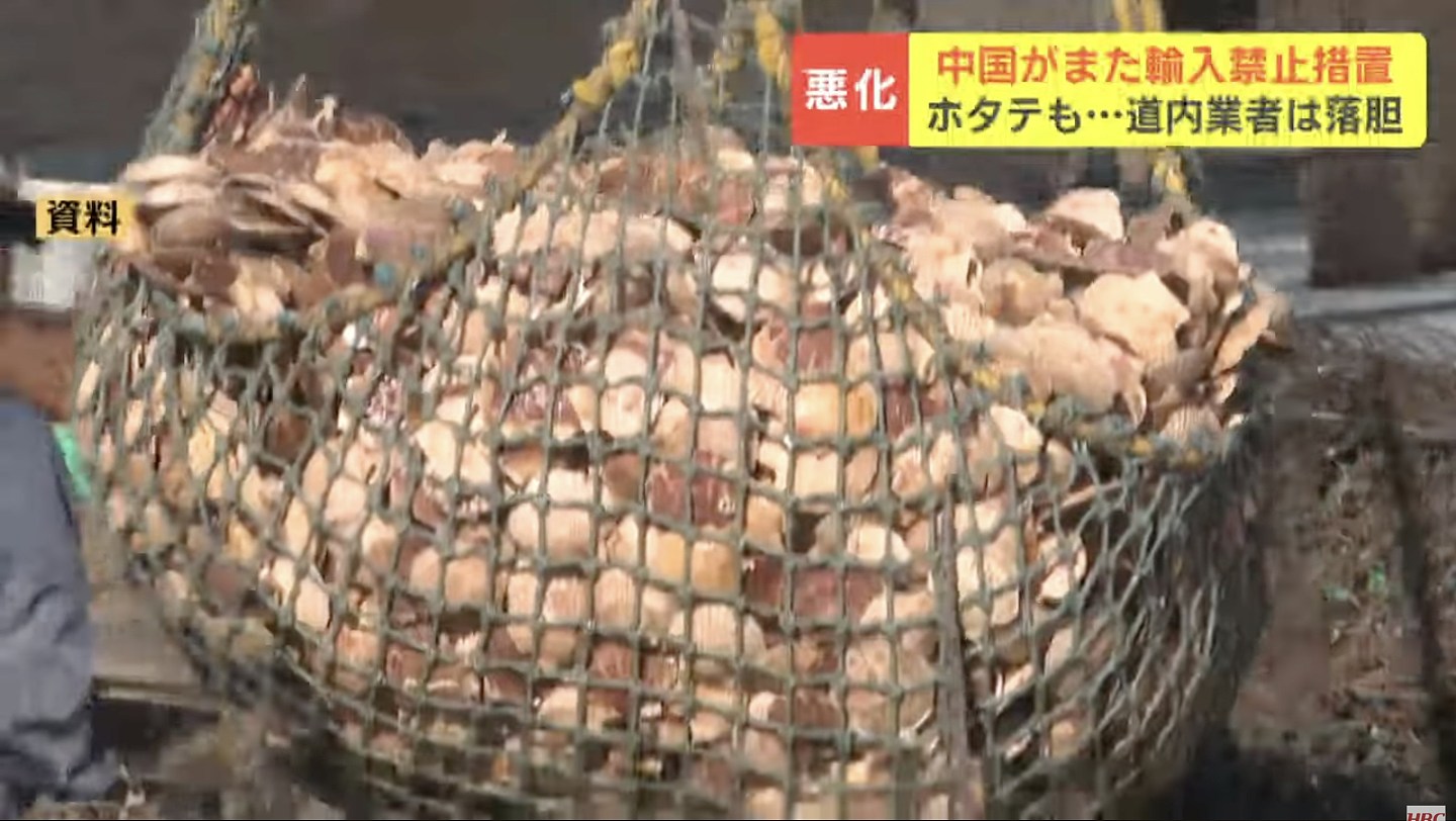 北海道扇贝加工商曾年销200吨予中国，对华恢复进口禁令难掩失望（组图） - 4
