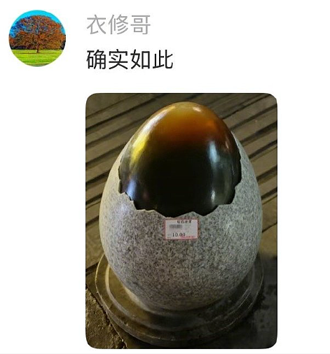 【爆笑】男朋友说要给我买衣服，结果看到他的搜索栏我崩溃了！网友无语：太下头（组图） - 42