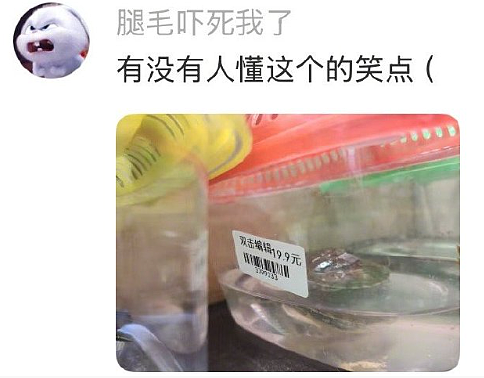 【爆笑】男朋友说要给我买衣服，结果看到他的搜索栏我崩溃了！网友无语：太下头（组图） - 45