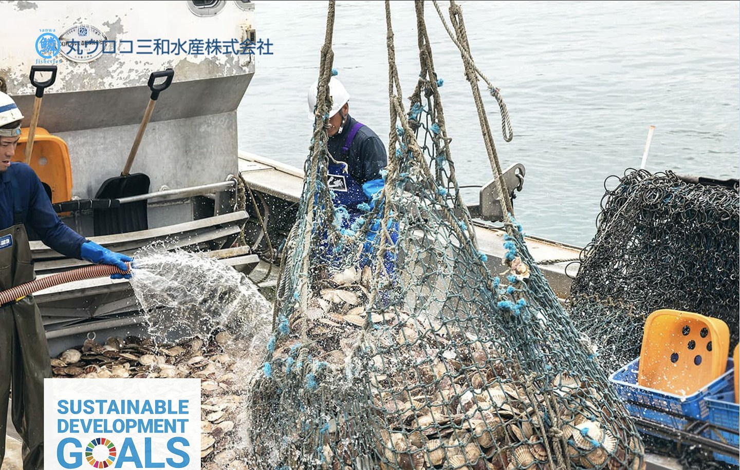 北海道扇贝加工商曾年销200吨予中国，对华恢复进口禁令难掩失望（组图） - 7
