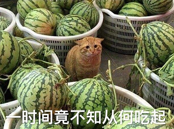 百亿富翁被曝生300个娃？花几亿嫌不够要继续生？网友：马斯克输了（组图） - 7