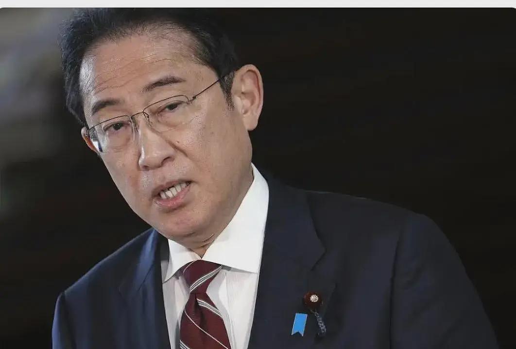 野田,岸田为何与高市切割?日本这次赌的是什么?(组图) - 6