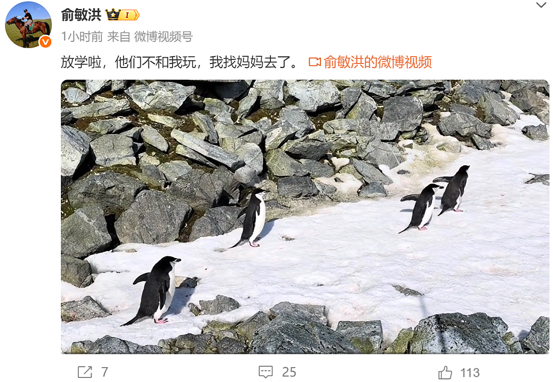 刚刚俞敏洪发文：在南极徒步爬山五个小时！他首次回应“全员信争议”：明年将选10个左右员工去南极（组图） - 4